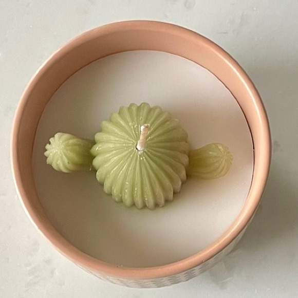 Sea Salt & Surf Cactus  Candle - Picture 4 of 5